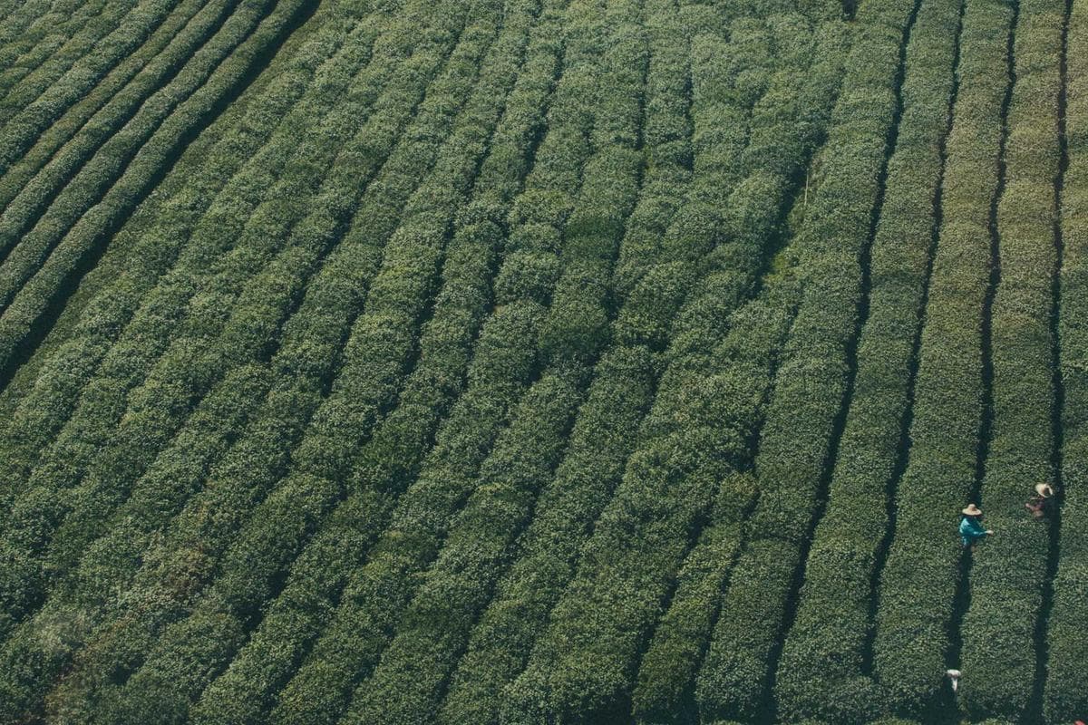 Coach sportif certifié