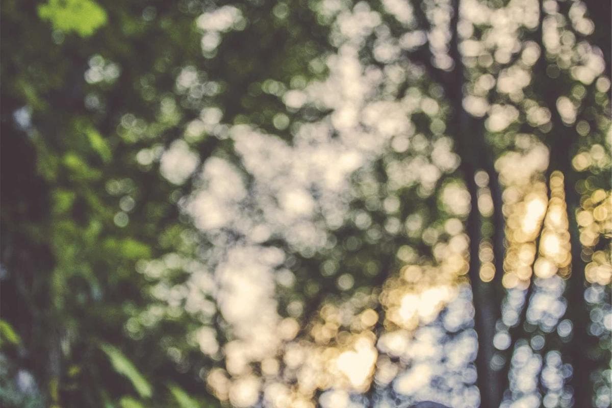 Piaggio Beverly 300 2021