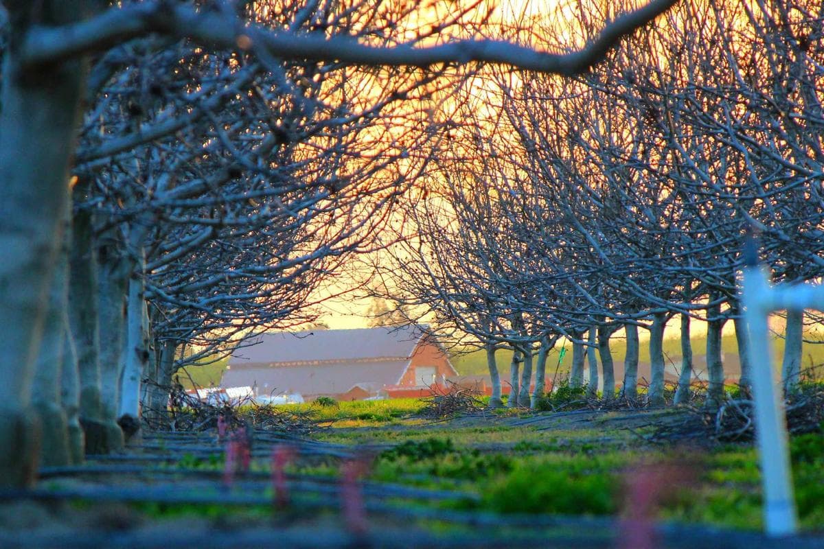 PlayStation 5 avec lecteur