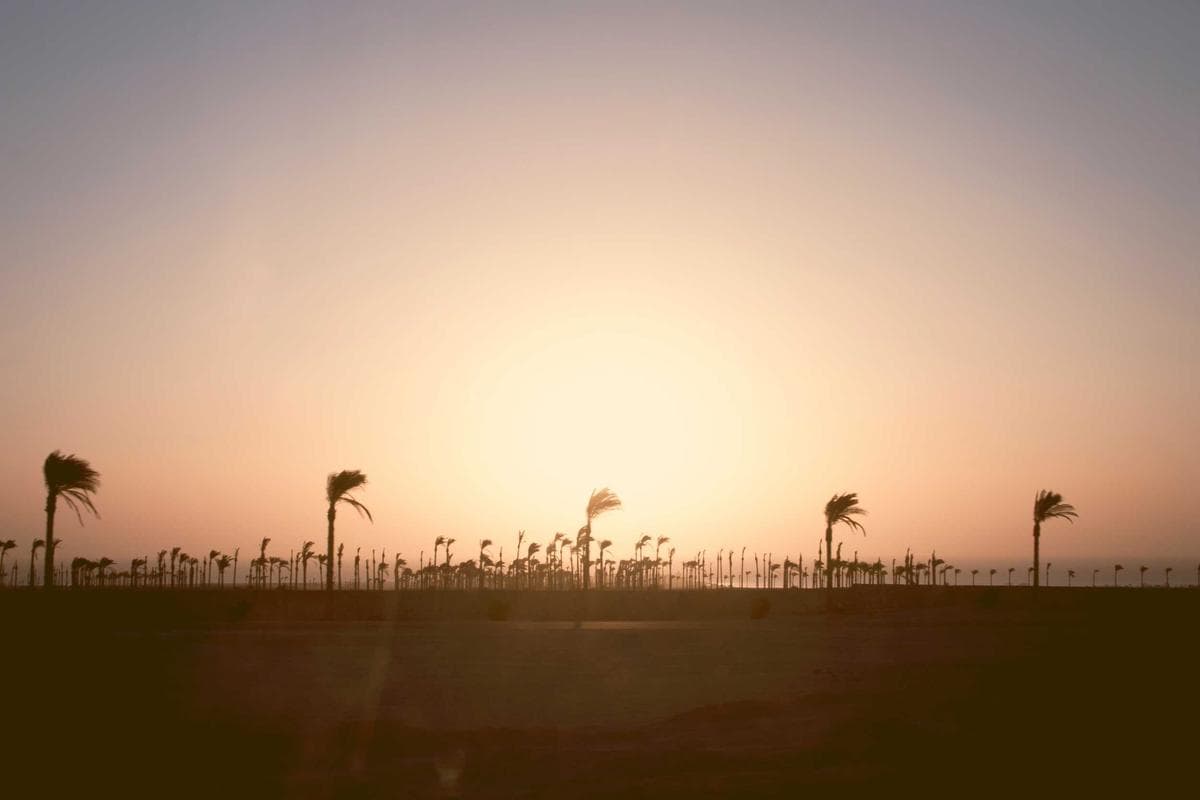 Montre connectée Apple Watch