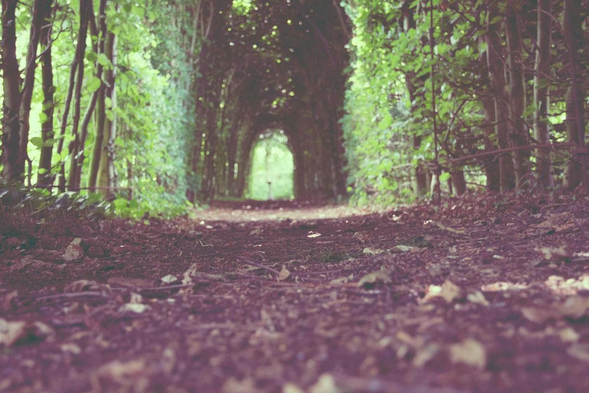 Aspirateur robot iRobot Roomba