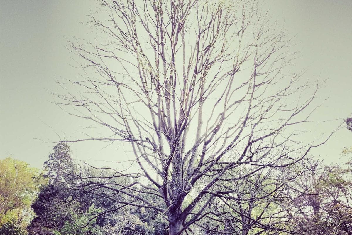 Coach sportif certifié