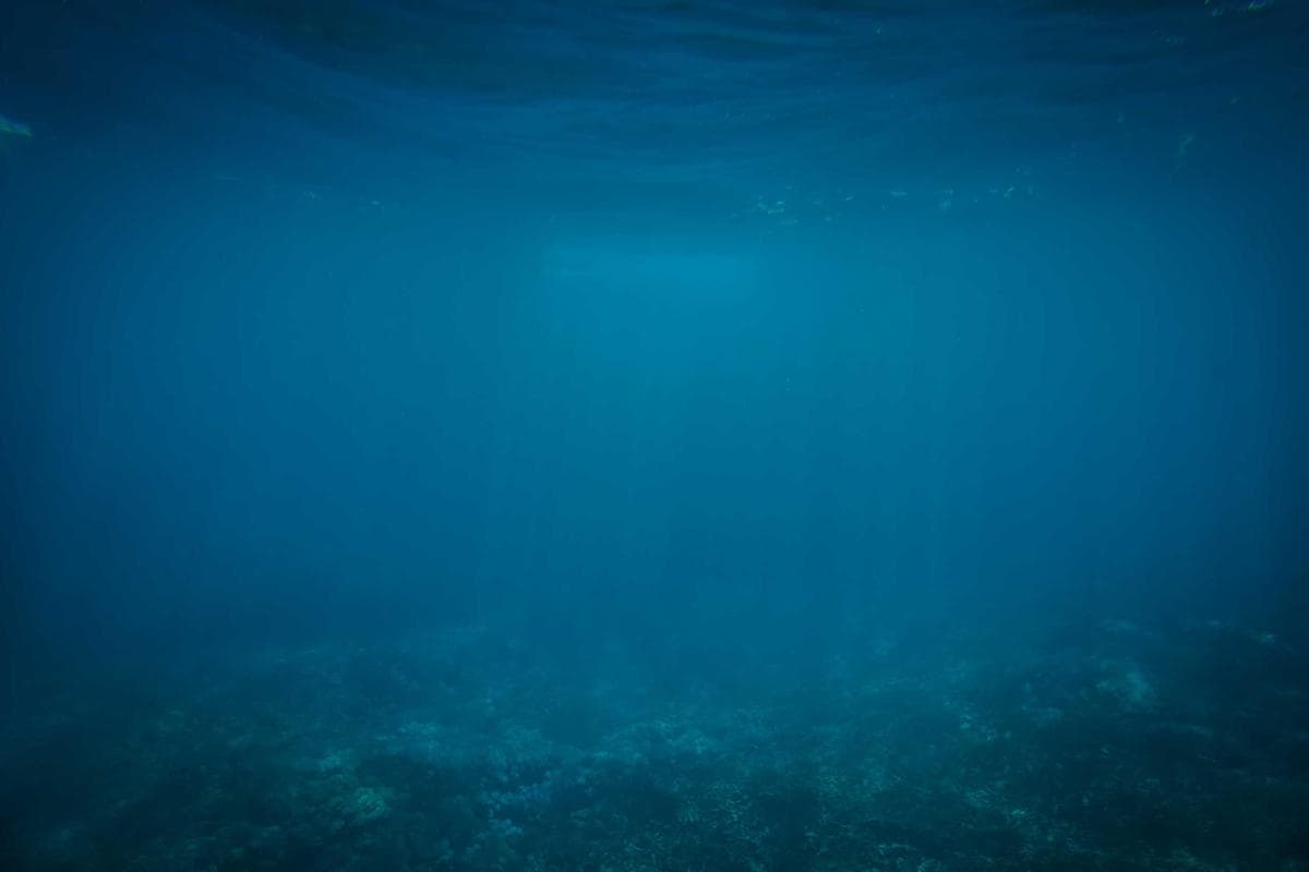 Entrepôt avec bureaux annexes