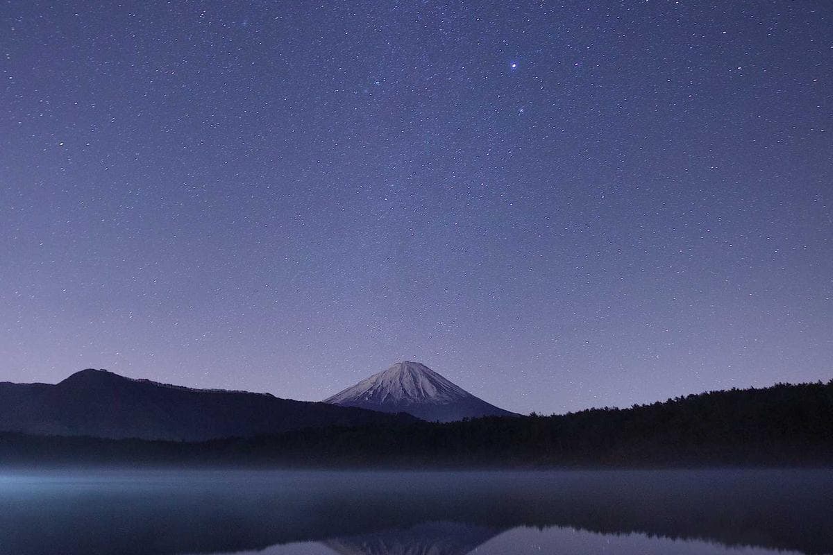 Bottines Chelsea cuir - Taille 43