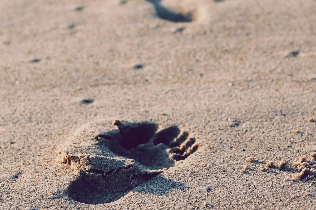 F2 idéal investissement locatif 211m² - Jardins de Carthage