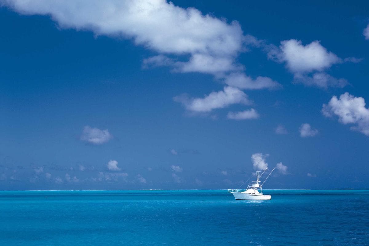 Pantalon chino Dockers