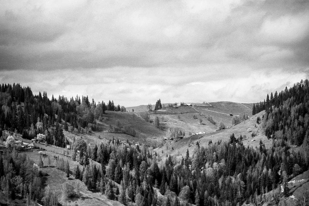 Manette Xbox Elite Series 2