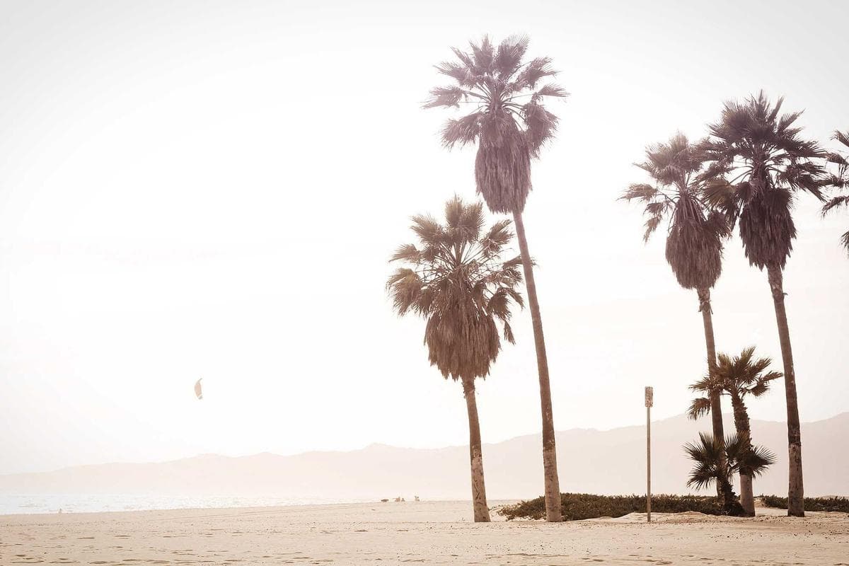 TV LG OLED 55 pouces C3