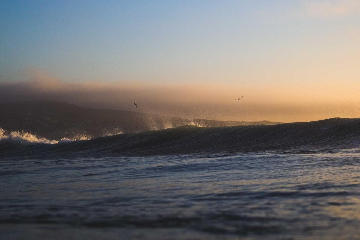 Apple iPhone 14 Pro 128Go - Neuf