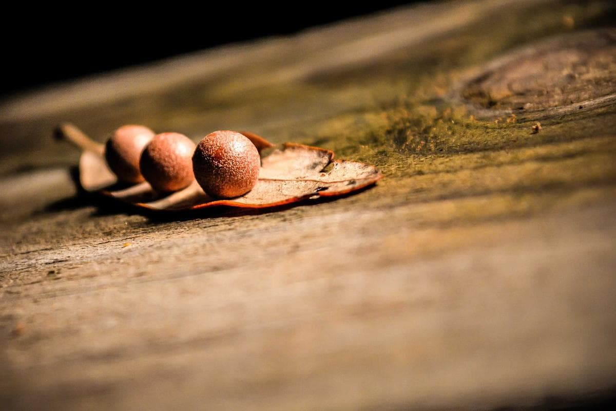 Escarpins Louboutin rouges - Taille 40