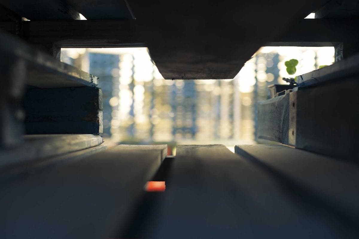 Traiteur cuisine marocaine