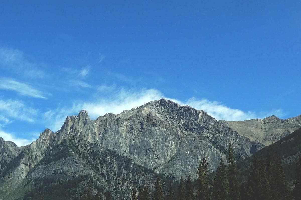 Service de navette aéroport